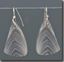 Botswana Agate Drop Earrings on sterling wires