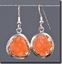 Dryhead Agate Silver Earrings