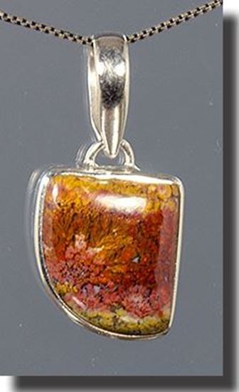 Bloody Basin Plume agate pendant