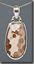 Petrified Bogwood silver Pendant