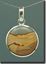 Owyhee Shadow Mountain Picture Jasper Silver Pendant