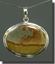 Owyhee War Bonnet Picture Jasper Silver Pendant