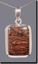 Oregon Deschutes Picture Jasper Silver Pendant