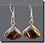 Australian Tiger Iron Silver Earrings