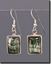 Seraphinite Silver Earrings