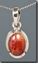 Petrified Palm Root Silver Pendant
