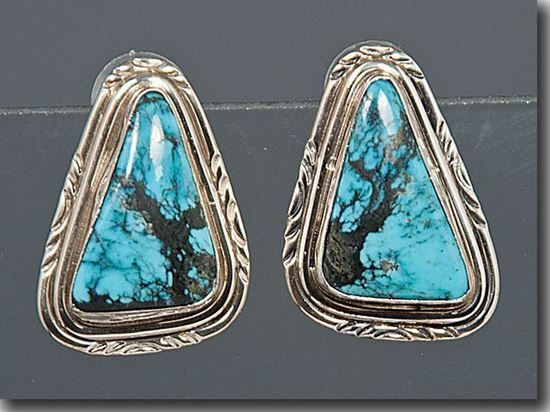 Nevada Blue Turquoise Earrings
